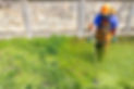 RS1188211_GettyImages-2210624372.jpg