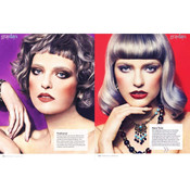 Gray Days American Salon Magazine, ModernSalon.com