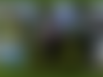 QIGONG AT THE EDGE OF THE ATLANTIC. Retreat in the Azores