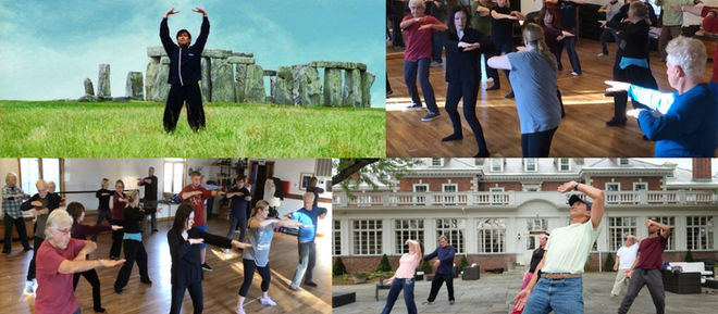Taoist Elixir Method with Sifu Terry Dunn