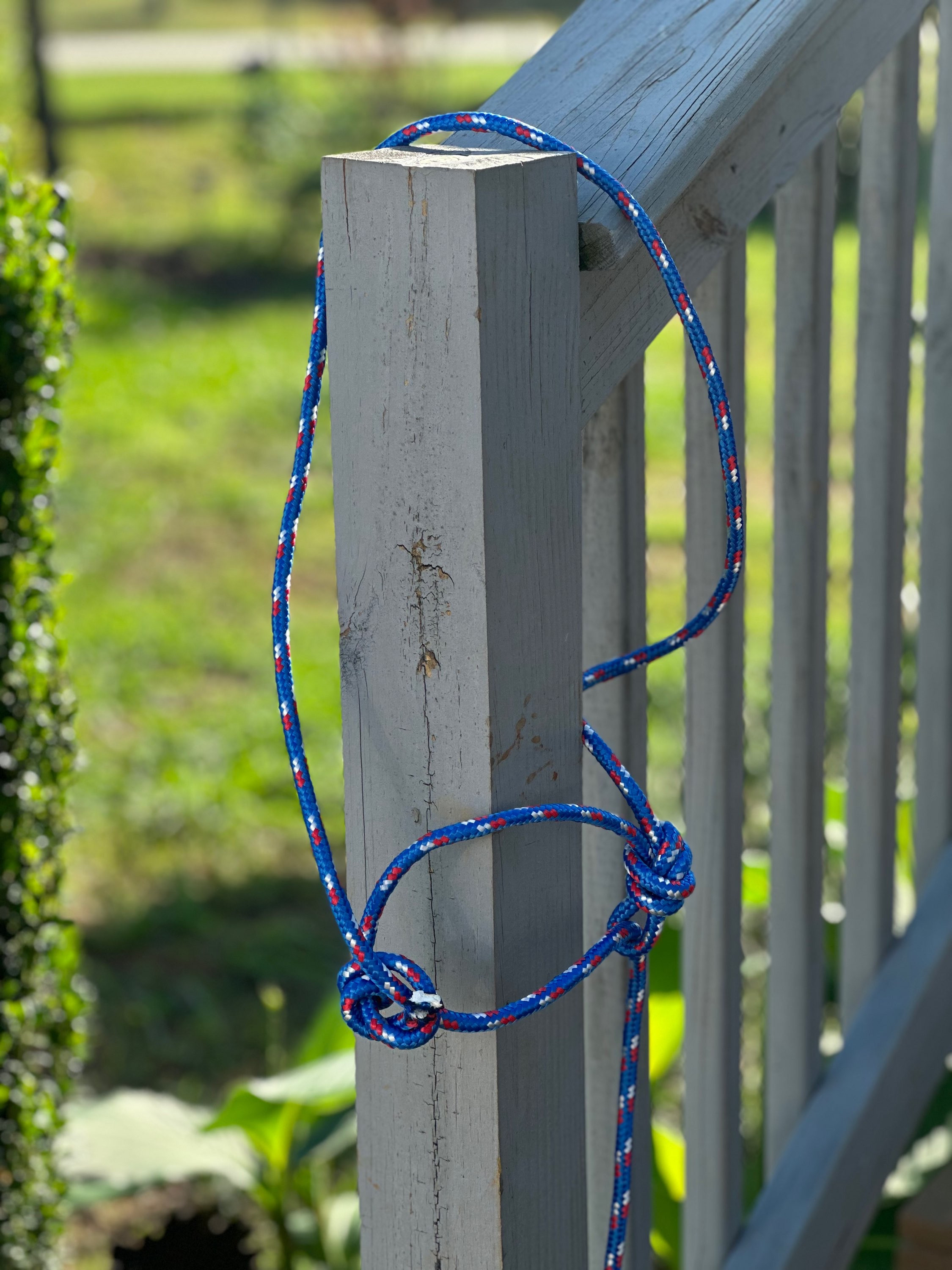 Blue halter for animals goats,1 lamb, cows