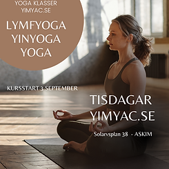 Yoga Klasser (1).png