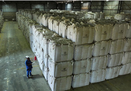 Café brasileiro em nova rota: China abre as portas!