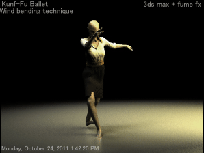 kung fu animation effect 