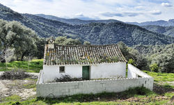 Original Finca (Genal Valley)