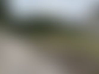 メッシュフェンス