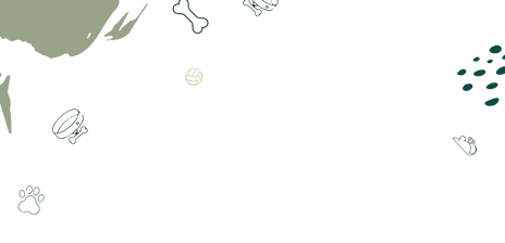 Untitled design - 2024-08-27T140121.371.png