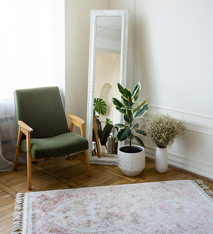 interior-decor-with-mirror-potted-plant.jpg