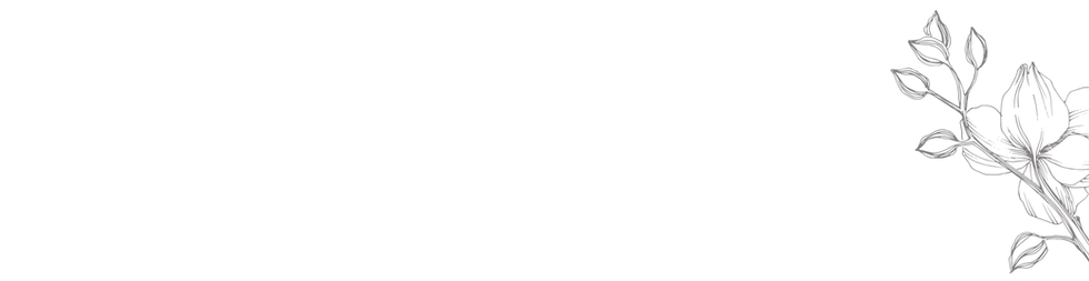 Untitled (1550 x 400 px).png