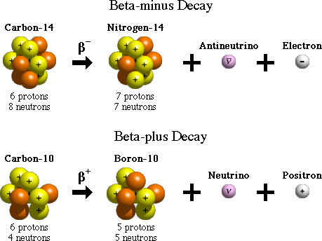 A diagram showing two examples of radioactive decay (Beta+ and Beta-)