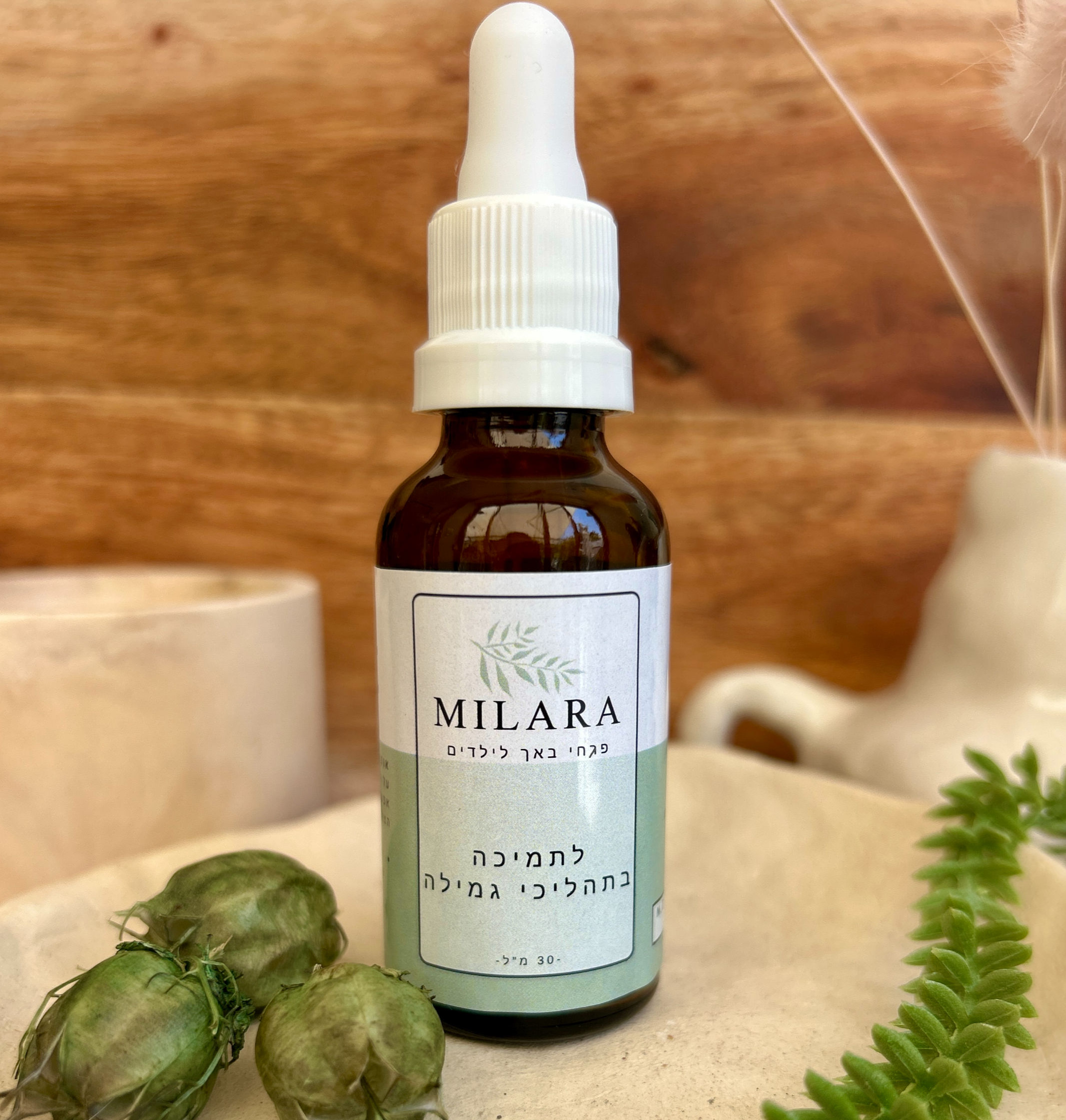 תהליכי גמילה