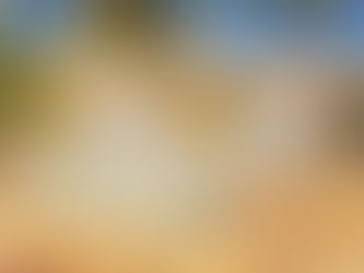 <Aphrodite> Friends Party Pool