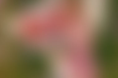 Twelve / Kaithleen's