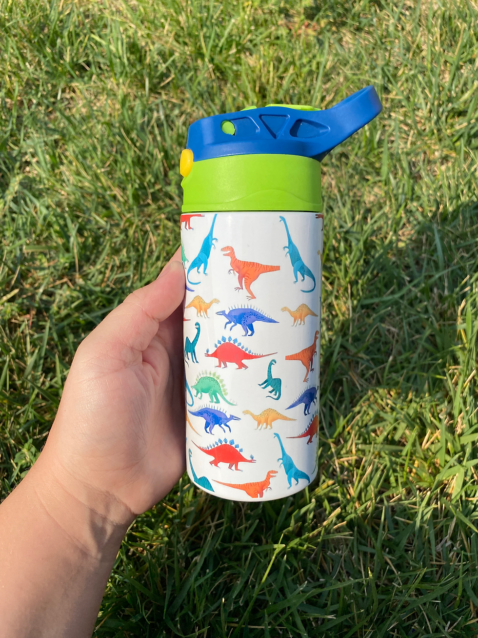 Kids Dinosaur Sippy Cup