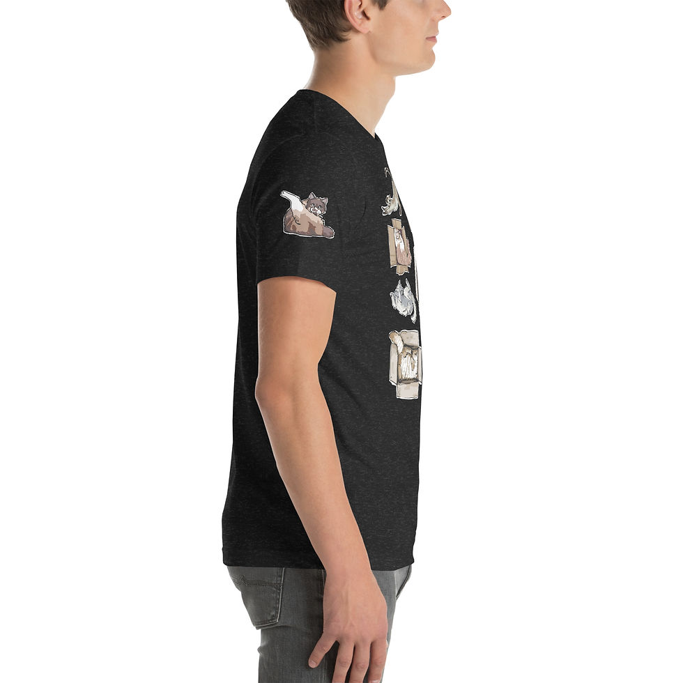 Thumbnail: "Cats and Boxes" - Collection. Unisex t-shirt