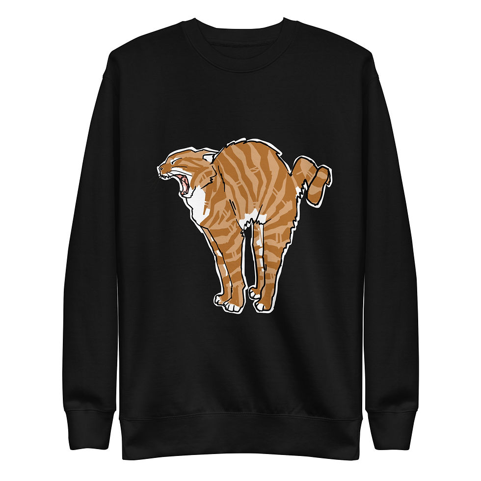 Thumbnail: "Cats and Boxes" - Collection. Unisex Premium Sweatshirt