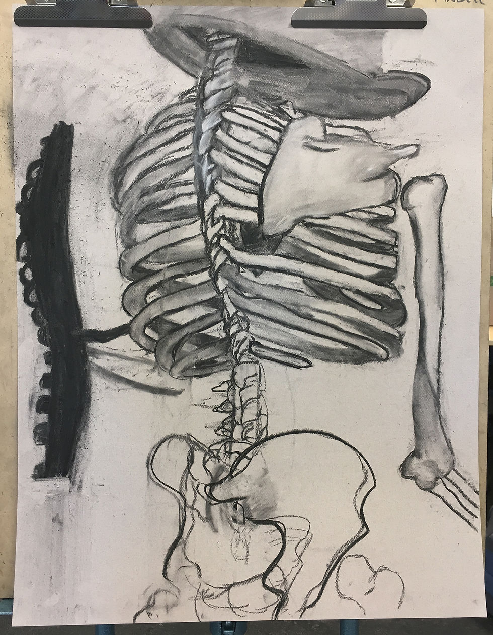 13- DRW 2. Skeleton studies. 2018