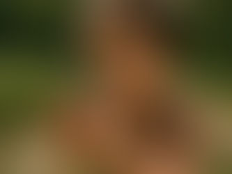 Why Children Learn the Way They Do: A Parent-Friendly Guide to Brain Science