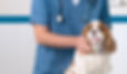 Veterinarian with Dog