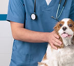 Veterinarian with Dog