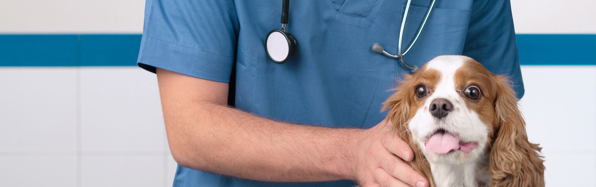 Veterinarian with Dog