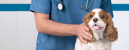 Veterinarian with Dog