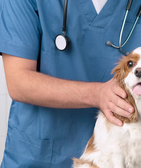 Veterinarian with Dog