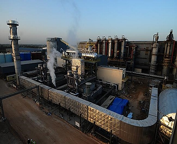 Alex Sugar Factory