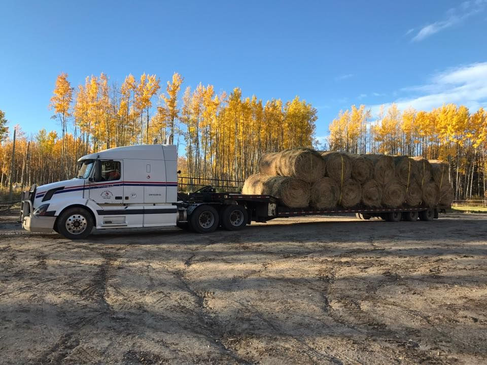 truck