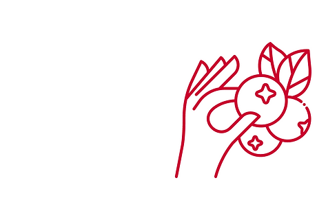 Insta  (14).png