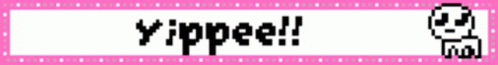 yippee banner