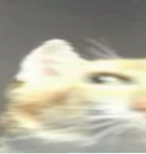 heeeeeeeeeeeeeeeeello.jpeg