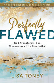 Perfectly Flawed.jpg