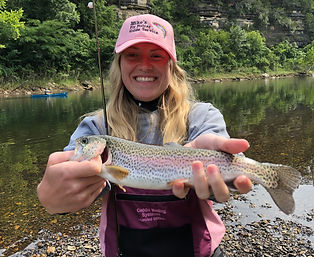 rainbow trout.png