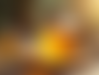 Manuka Honey Face Care Tips: Unlocking Skincare Benefits of Liquid Gold