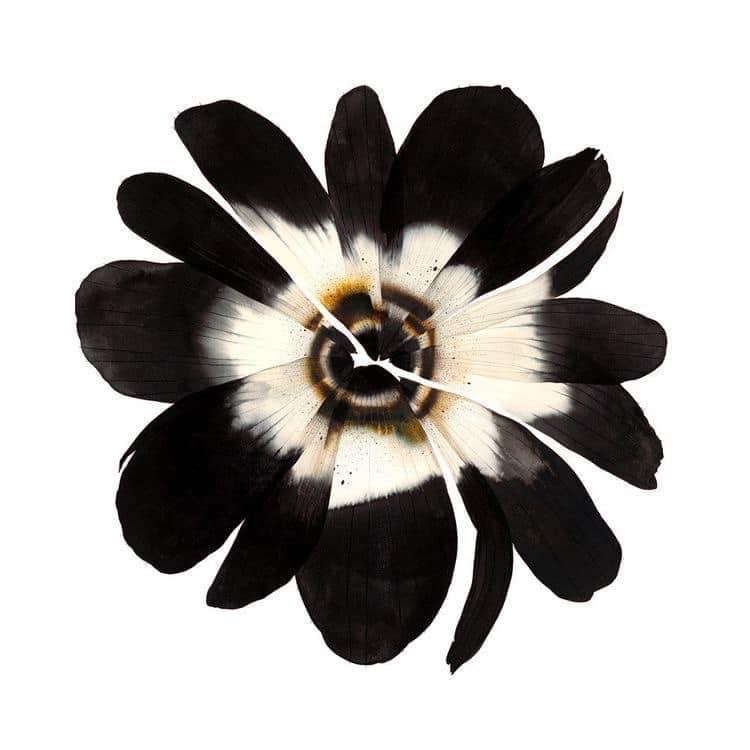 Foto del escritor: Dalya Kartzea