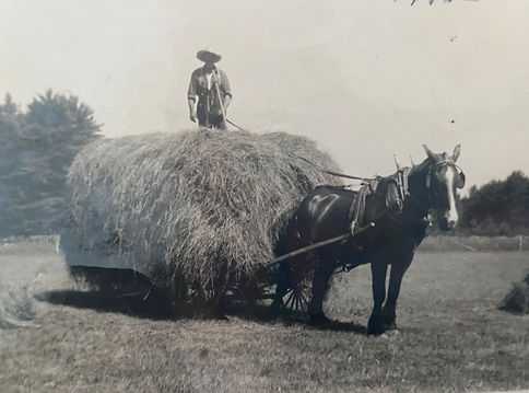 Hay wagon