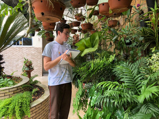 Estudo do Meio - Biologia - 2º EM