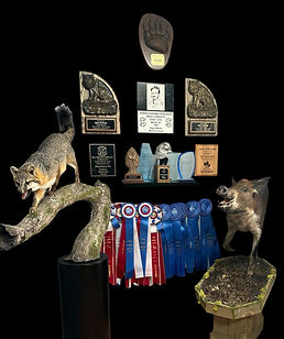 Photoroom_20240720_095522.jpg