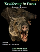January Cover.png
