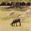 Thumbnail: Black sheep of Middleton Place