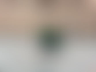 18. Heiner-Zieglwalner-Cup