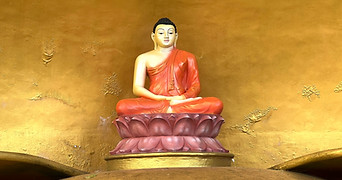 IMG_6775.JPG