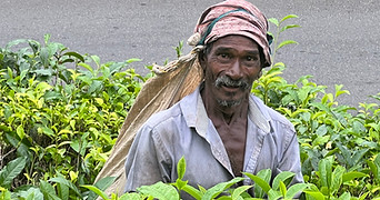 Sri Lanka Reisen ONIU