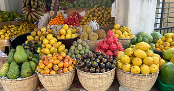 Sri Lanka Reisen ONIU