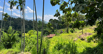 Sri Lanka Reisen ONIU