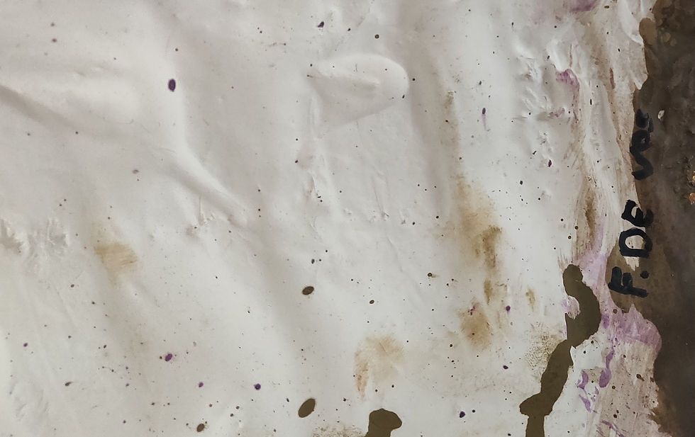 縮圖：Vrouwelijke Buste -  François de Vos (1955-2019)