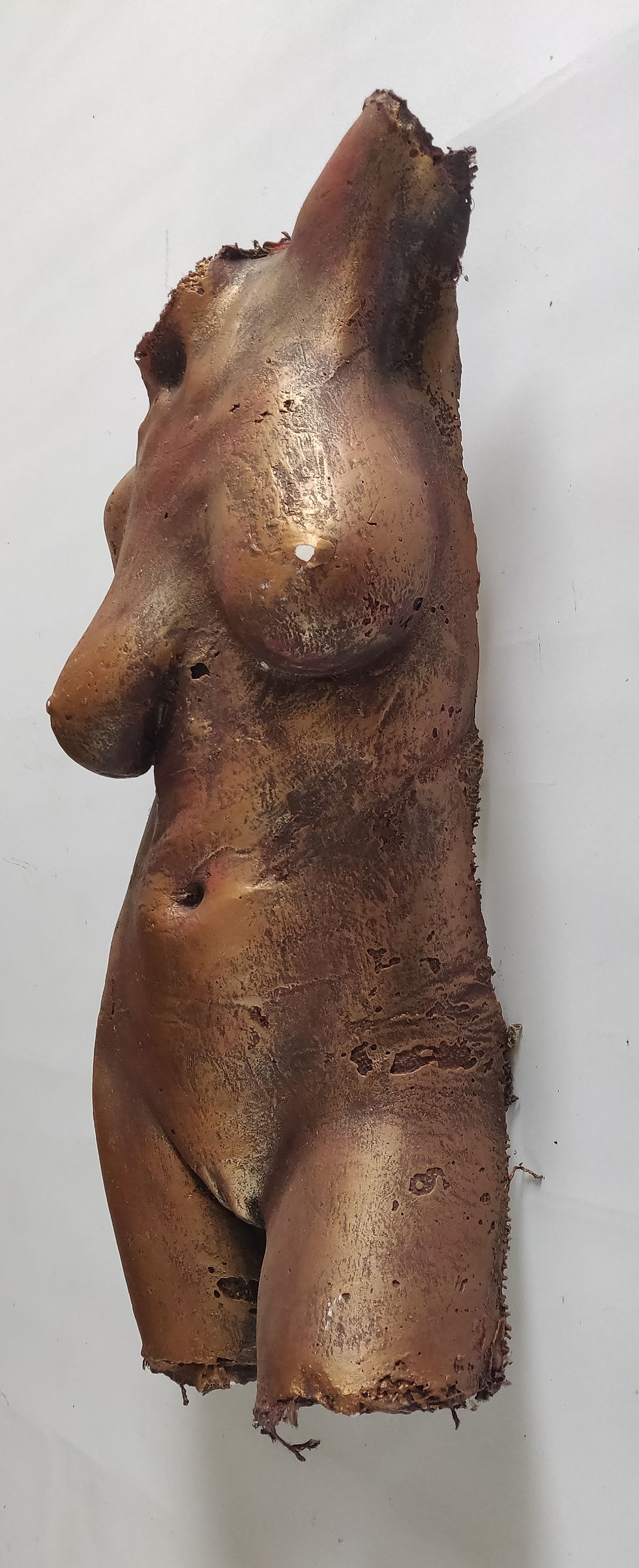 縮圖：Vrouwelijke Buste -  François de Vos (1955-2019)