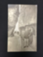 BN: Maternal grandparents Siegfried and Martha Silberstein on holidays, ca. 1930s