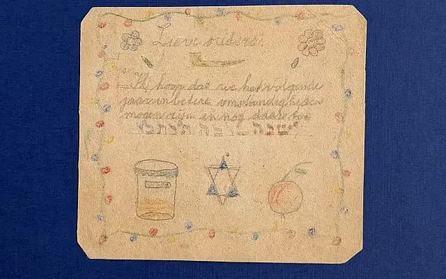 Times of Israel article
